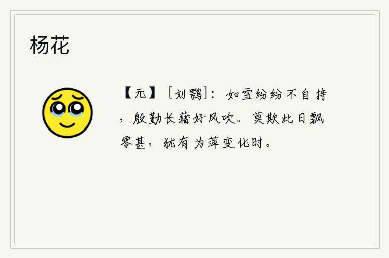 杨花