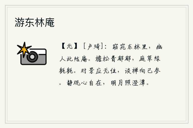 游东林庵，幽静的东林里,有位隐士在这里修建了一座小庵。屋檐下的松树郁郁葱葱,院子里的草儿也长得茂盛茁壮。面对日月星辰应当永无止境,谈论禅理已经接近了参悟佛理。静观景物,心