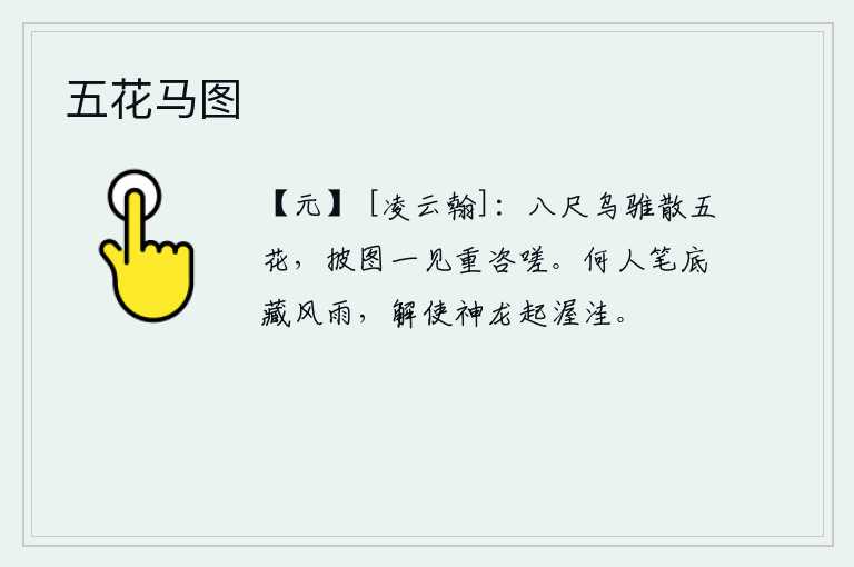 五花马图