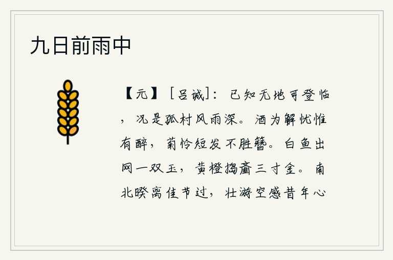 九日前雨中,已经知道没有地方可以登临了,更何况是孤零零的村庄,风雨交加,格外凄冷。喝酒可以解除忧愁的只有喝醉了,菊花可怜自己头发短得连簪子都插不住。白鱼从竹网中跃出,好像一