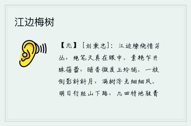 江边梅树