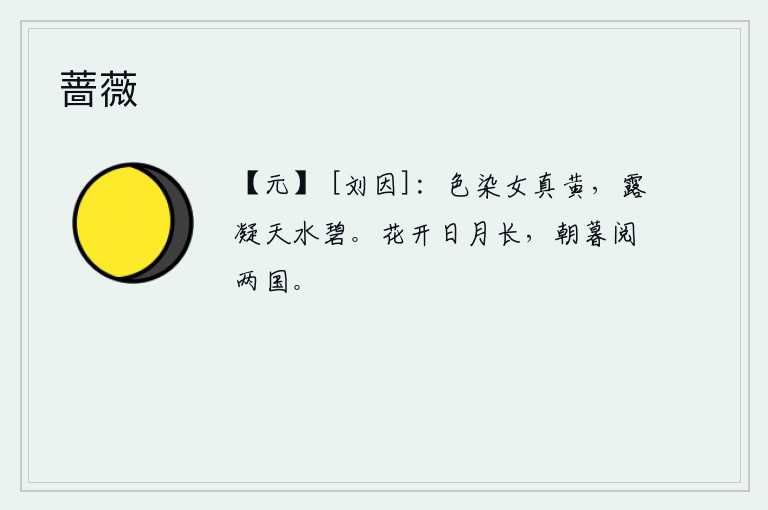 蔷薇
