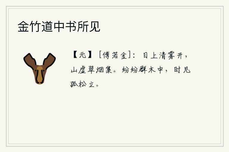 金竹道中书所见
