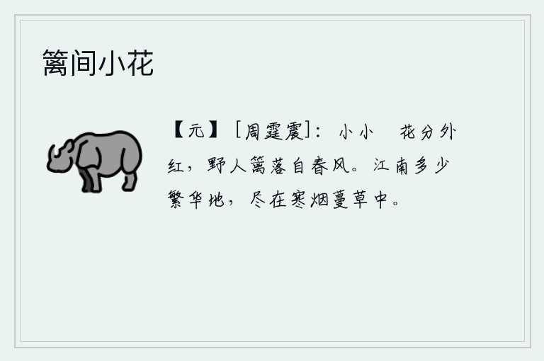 篱间小花